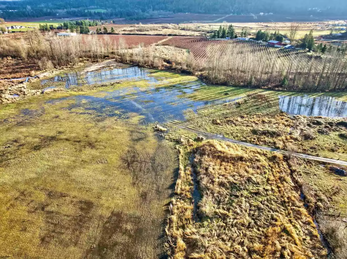 Entry Foyer Photo of 34995 Dale Road, Mission, BC