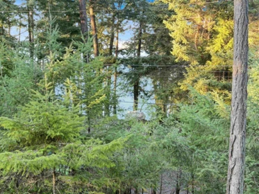 Family Room Photo of 1609 Schooner Way, Pender Island, BC