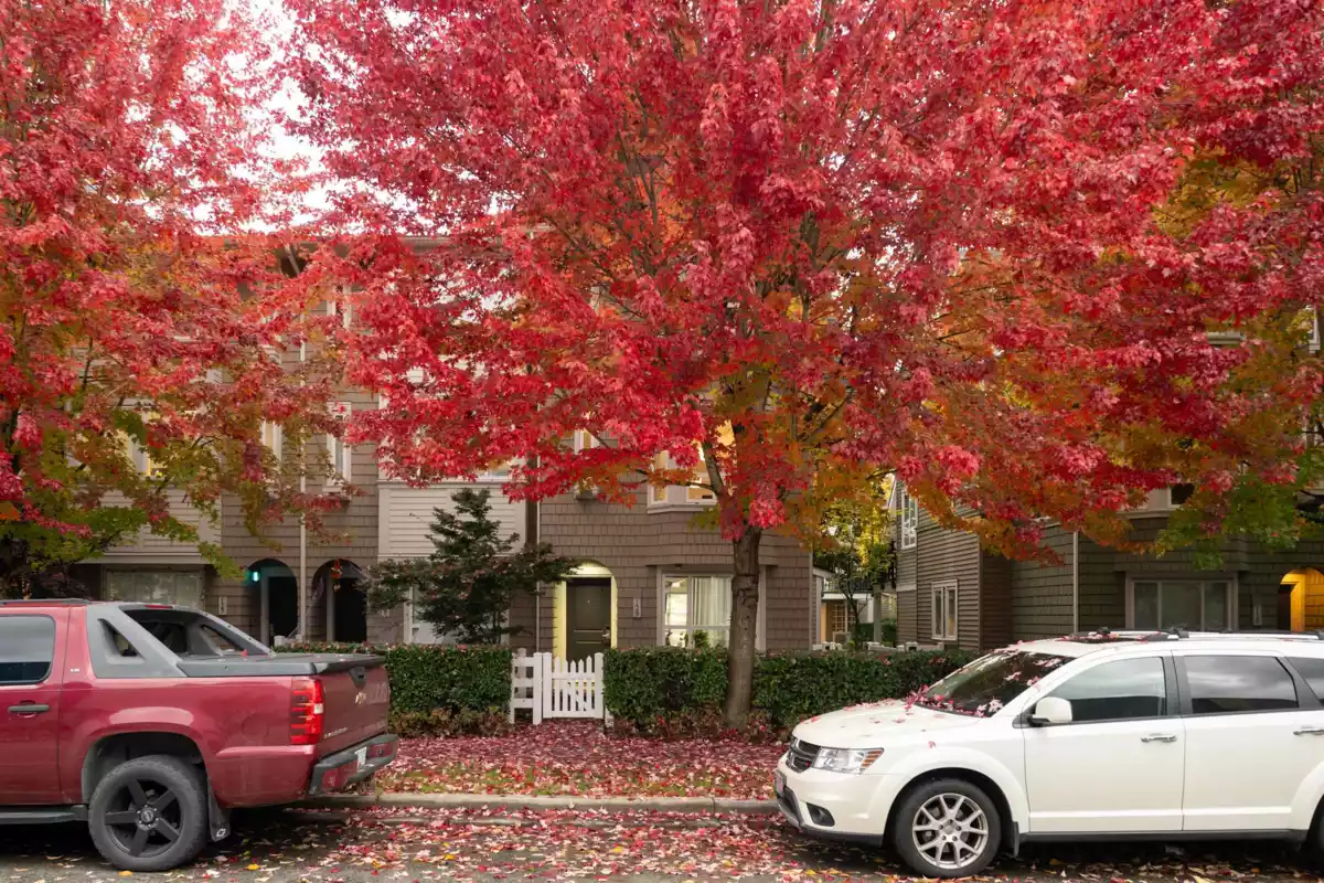 Mudroom Photo of 129 2418 Avon Place, Port Coquitlam, BC
