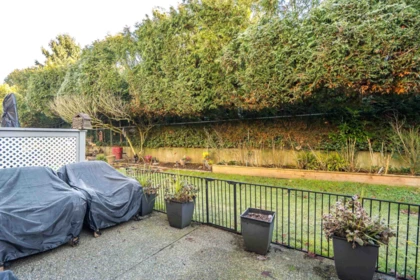 Playground / Recreational Area Near 403 21937 48 Avenue, Langley, BC