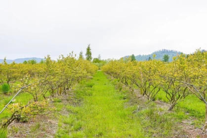 Street View Photo of 11186 Farms Road, Mission, BC