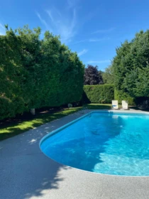 Garden / Landscaping Photo of 380 4th Avenue, Hope, BC