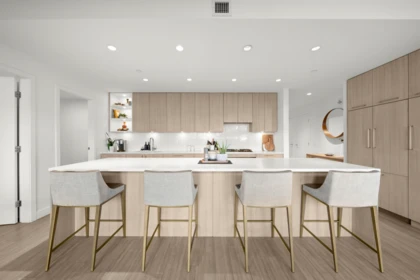 Pantry Photo of 116 747 E 3rd Street, North Vancouver, BC