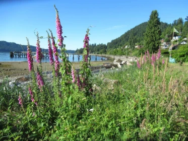 1308 Burns Road, Gibsons, BC, Gibsons — Single Family Residence for sale