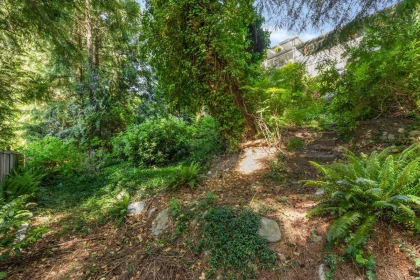 Backyard Photo of 160 Harvard Drive, Port Moody, BC
