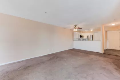 Kitchen Photo of 401 214 Eleventh Street, New Westminster, BC