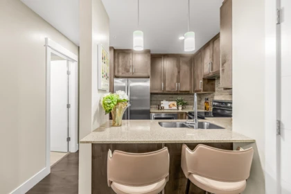 509 2465 Wilson Avenue, Port Coquitlam, BC, Port Coquitlam — Apartment/Condo for sale
