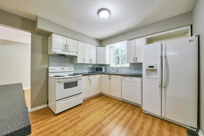 12313 Mcnutt Road, Maple Ridge, BC, Maple Ridge — Single Family Residence for sale