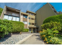 225 9101 Horne Street, Burnaby, BC