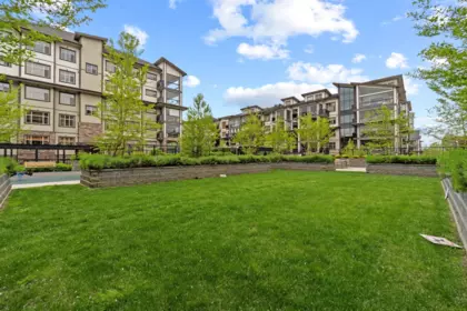 Garden / Landscaping Photo of 20376 86 Avenue, Langley, BC