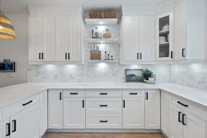 Mudroom Photo of 4 4771 224 Street, Langley, BC