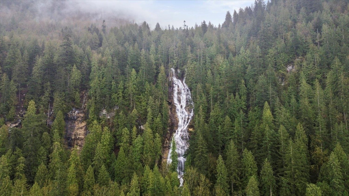 Office / Den Photo of 92 53480 Bridal Falls Road, Rosedale, BC