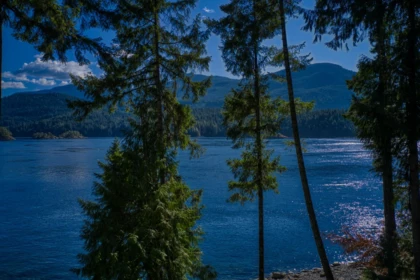 Powder Room Photo of LOT 4 Kayak Road, Egmont, BC