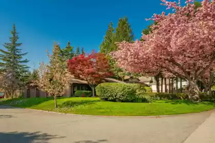 10234 156a Street, Surrey, BC, Surrey — Single Family Residence for sale