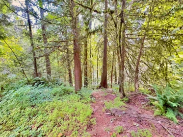 Street View Photo of 23551 132 Avenue, Maple Ridge, BC