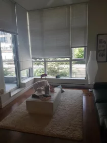 412 1205 Howe Street, Vancouver, BC, Vancouver — Apartment/Condo for sale