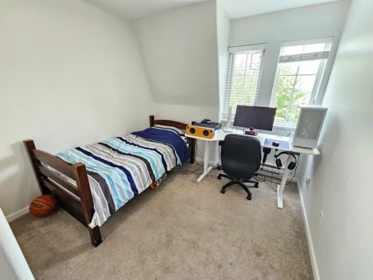 Basement Recreation Room Photo of 74 8890 Walnut Grove Drive, Langley, BC