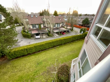 Front Yard Photo of 321 7453 Moffatt Road, Richmond, BC