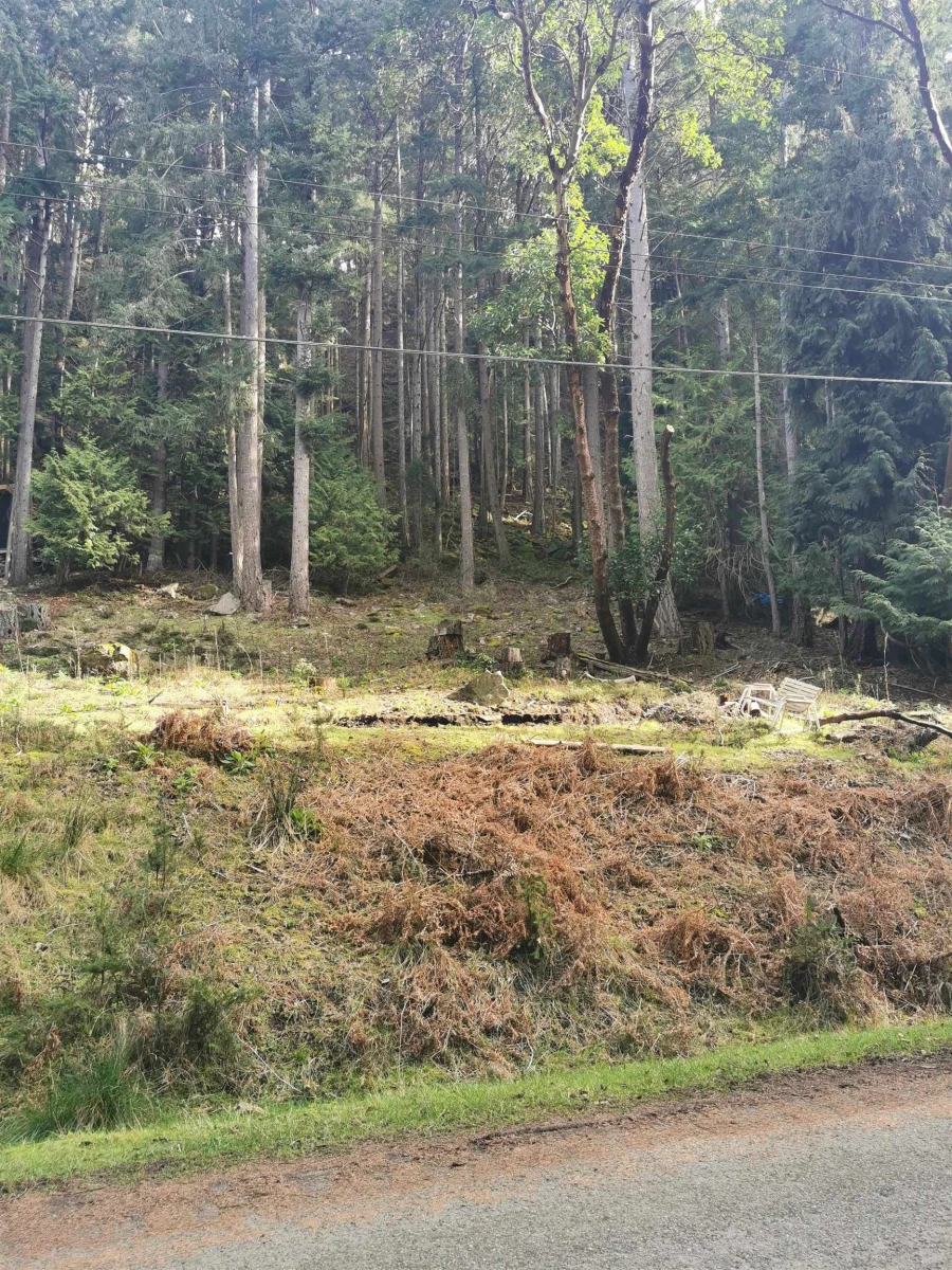 Family Room Photo of LOT 25 Wood Dale Drive, Mayne Island, BC