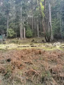 LOT 25 Wood Dale Drive, Mayne Island, BC, Mayne Island — Land for sale