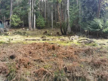 LOT 25 Wood Dale Drive, Mayne Island, BC, Mayne Island — Land for sale