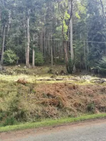 LOT 25 Wood Dale Drive, Mayne Island, BC, Mayne Island — Land for sale