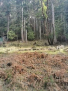 LOT 25 Wood Dale Drive, Mayne Island, BC