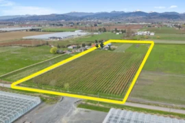 34221 Townshipline Road, Abbotsford, BC