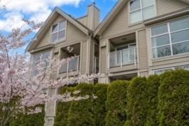 204 3168 Laurel Street, Vancouver, BC