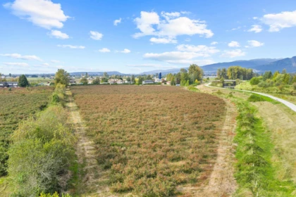 Neighborhood Park Photo Near 13540 Neaves Road, Pitt Meadows, BC