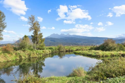 Playground / Recreational Area Near 13540 Neaves Road, Pitt Meadows, BC
