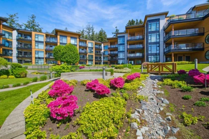 505 14855 Thrift Avenue, White Rock, BC, White Rock — 3 bed apartment/condo for sale