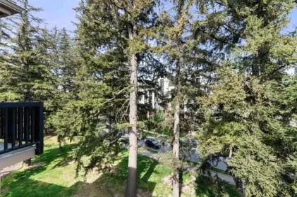 Front Yard Photo of 407 45530 Market Way, Chilliwack, BC
