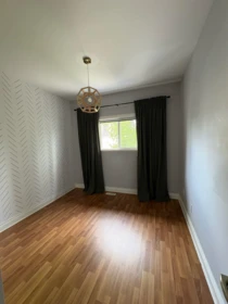 Laundry Room Photo of 421 Kelly Street, New Westminster, BC