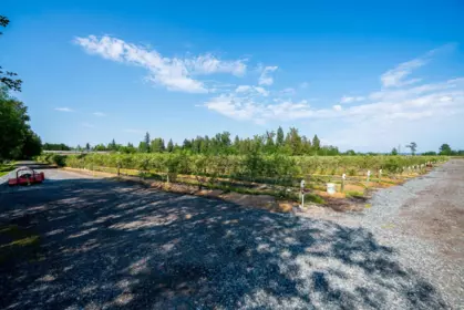 Loft / Bonus Room Photo of 15448 56 Avenue, Surrey, BC