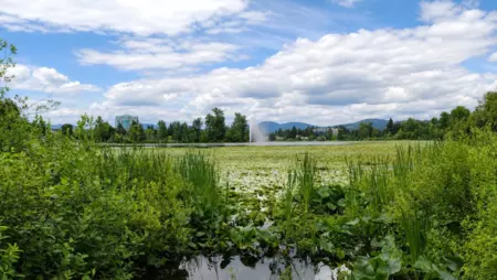 Front Yard Photo of 105 33478 Roberts Avenue, Abbotsford, BC