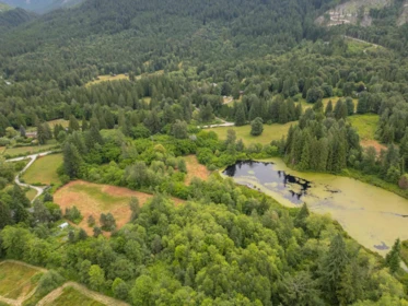 Swimming Pool Photo of 14275 Sylvester Road, Mission, BC