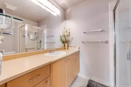 Laundry Room Photo of 19 1010 Ewen Avenue, New Westminster, BC