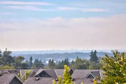 Aerial View of 10441 Mceachern Street, Maple Ridge, BC