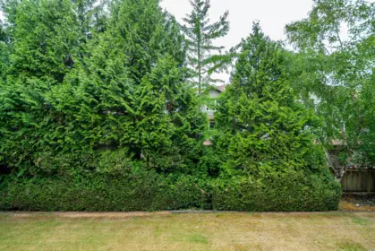 Garden / Landscaping Photo of 212 12733 72 Avenue, Surrey, BC