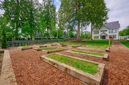 Outdoor Kitchen Photo of 39 8168 136a Street, Surrey, BC