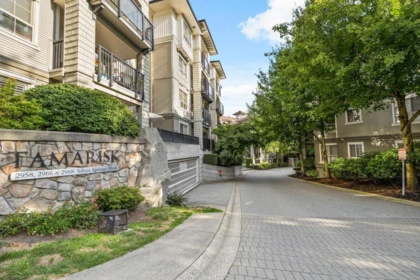 Backyard Photo of 210 2958 Silver Springs Boulevard, Coquitlam, BC