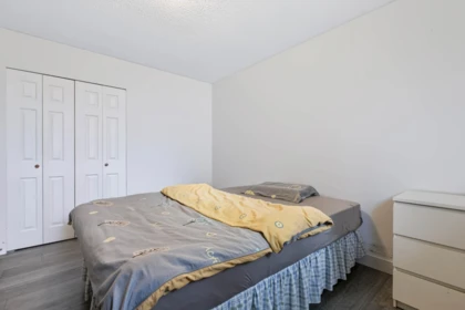 Aerial View of 10680 Hollymount Drive, Richmond, BC