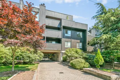 204 7300 Moffatt Road, Richmond, BC, Richmond — Apartment/Condo for sale
