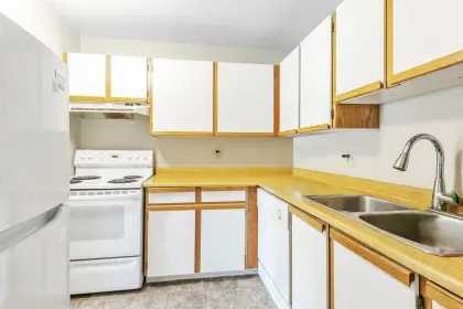 204 7300 Moffatt Road, Richmond, BC, Richmond — Apartment/Condo for sale