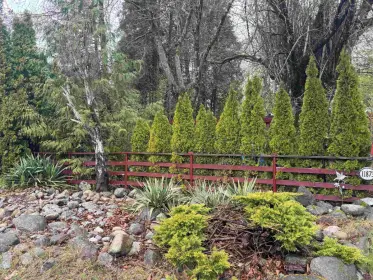 11873 95a Avenue, Delta, BC, Delta — Single Family Residence for sale