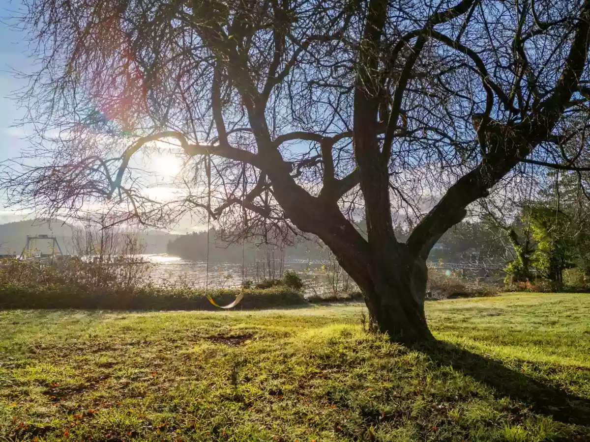 Primary Bedroom Photo of 73 Madrona Road, Galiano Island, BC