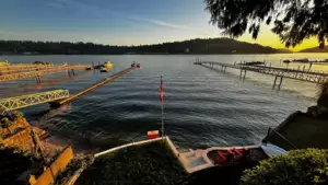 844 Alderside Road, Port Moody, BC