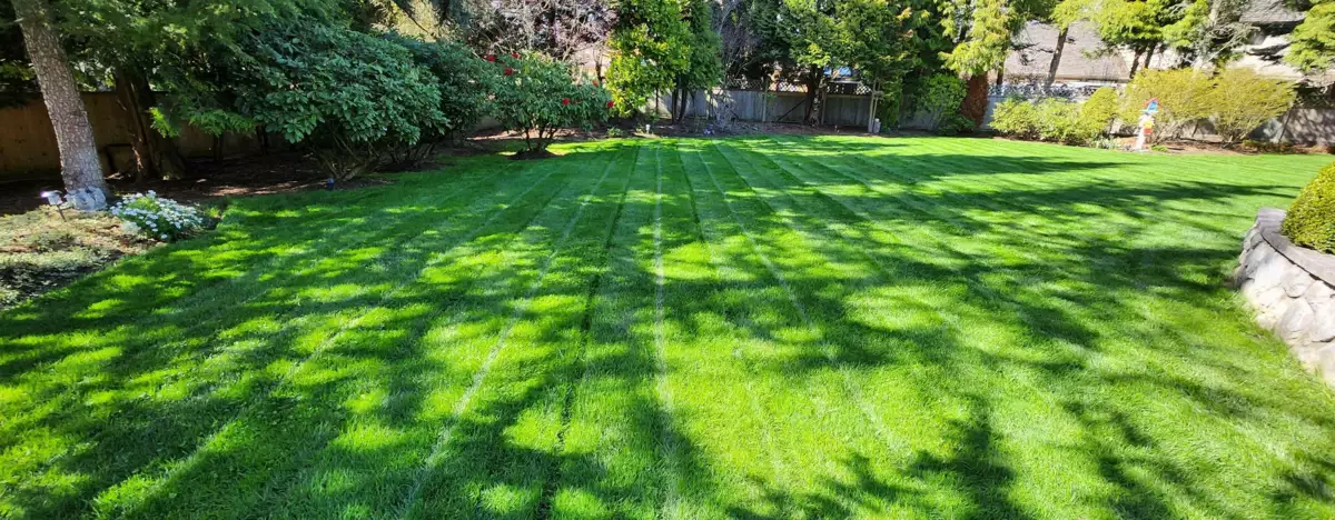 Backyard Photo of 13923 22a Ave Avenue, Surrey, BC