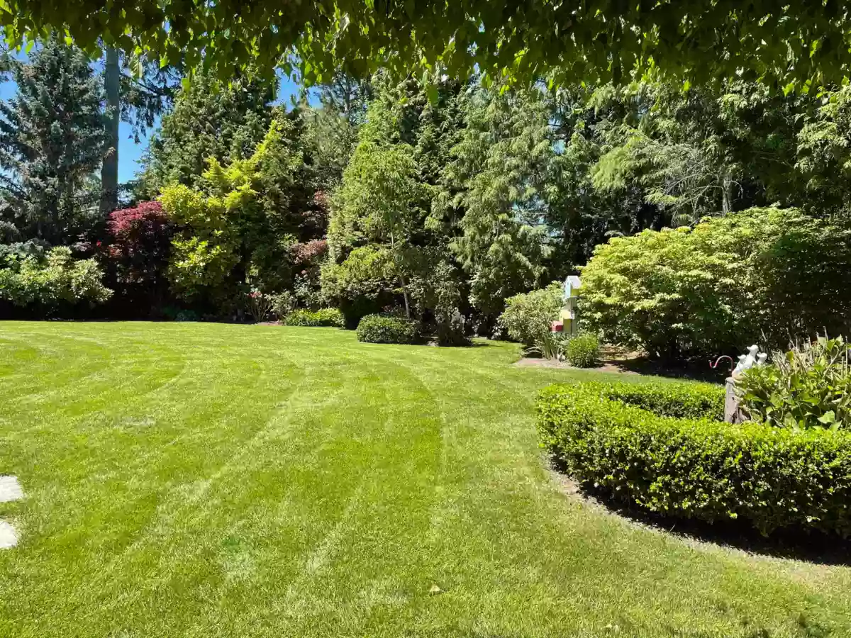 Garage Interior Photo of 13923 22a Ave Avenue, Surrey, BC